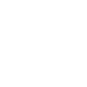 Icon 8